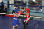 IMG_9090-1.JPG