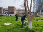 Несколько тысяч избербашцев вышли на общегородской субботник