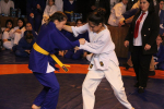 IMG_1505-1.JPG
