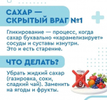 Восемь составляющих здорового долголетия